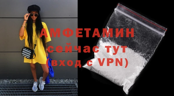 индика Бугульма