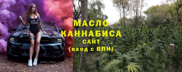 индика Бугульма