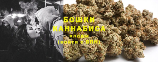индика Бугульма