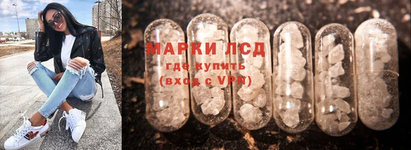 индика Бугульма
