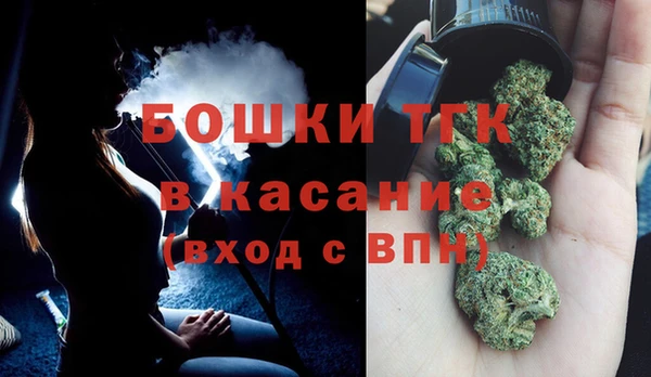 индика Бугульма