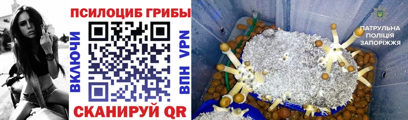 продажа наркотиков  Вятские Поляны  Галлюциногенные грибы MAGIC MUSHROOMS 