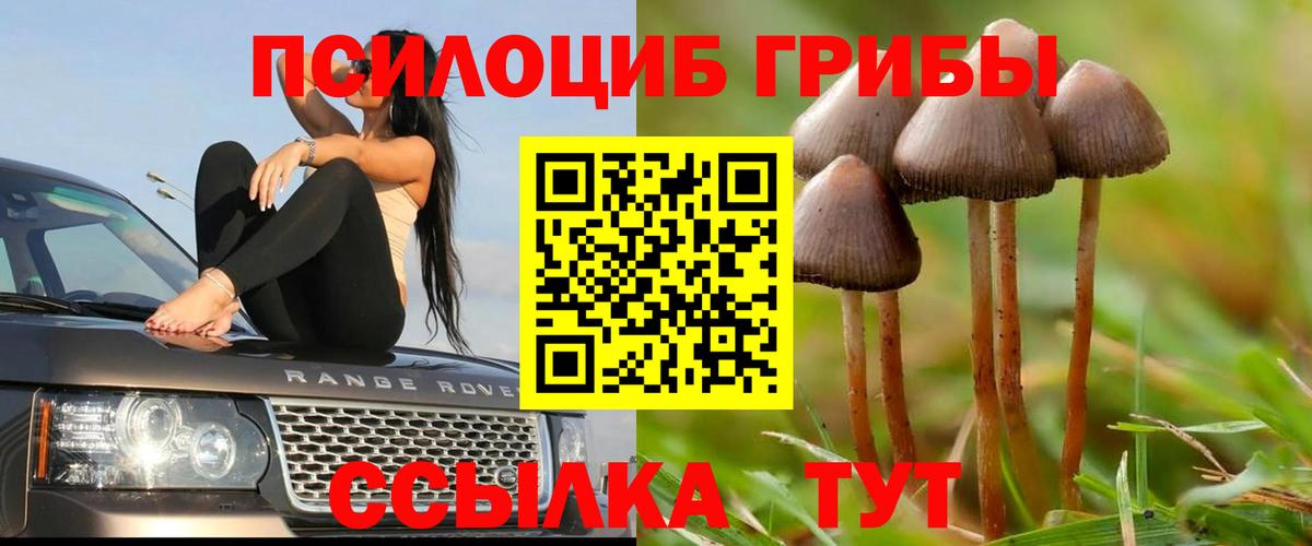 Галлюциногенные грибы мухоморы  Галлюциногенные грибы Psilocybe  Вход с VPN  Вятские Поляны 